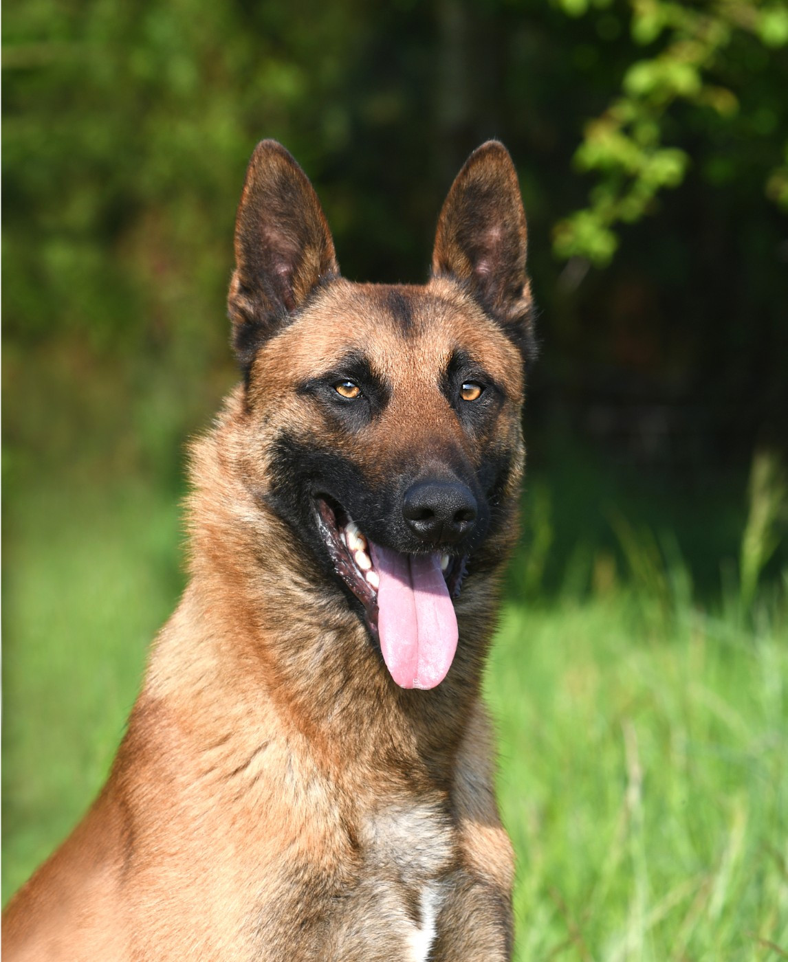 SAX du manoir d' eiko